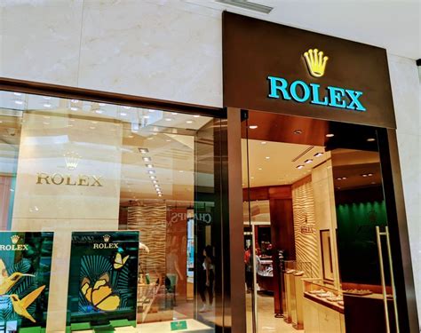 tampa rolex|rolex store in tampa.